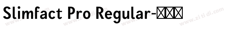 Slimfact Pro Regular字体转换